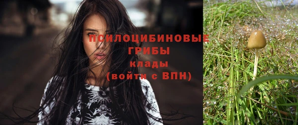 винт Балахна
