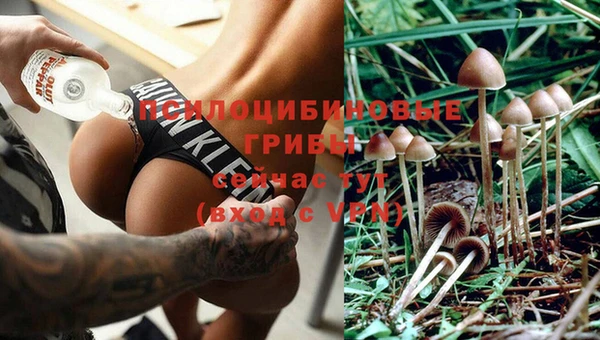винт Балахна