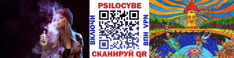 МЕГА   как найти   Великий Устюг  Галлюциногенные грибы мухоморы 
