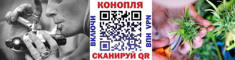 Конопля SATIVA & INDICA  omg ТОР  Великий Устюг  цена  